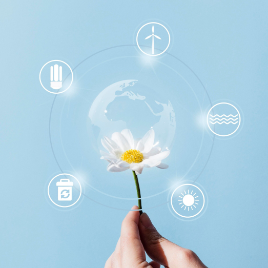 1.- Diversificación y transición hacia energías limpias